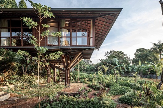 Wooden Treehouse C